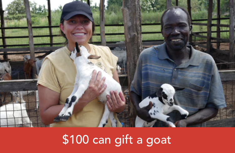 Shop Hope Gift a Goat